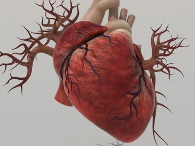 پیشگیری و عوامل خطرساز قلبی و عروقی